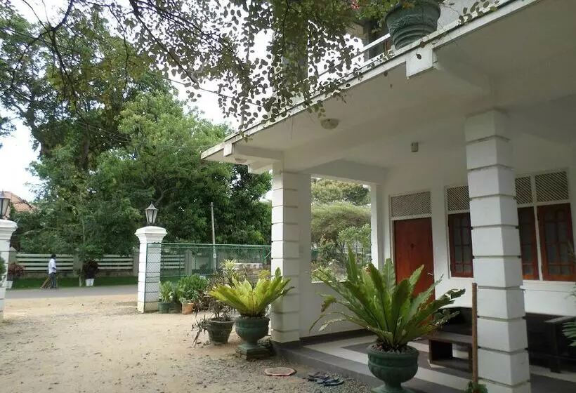 Hotel Senora