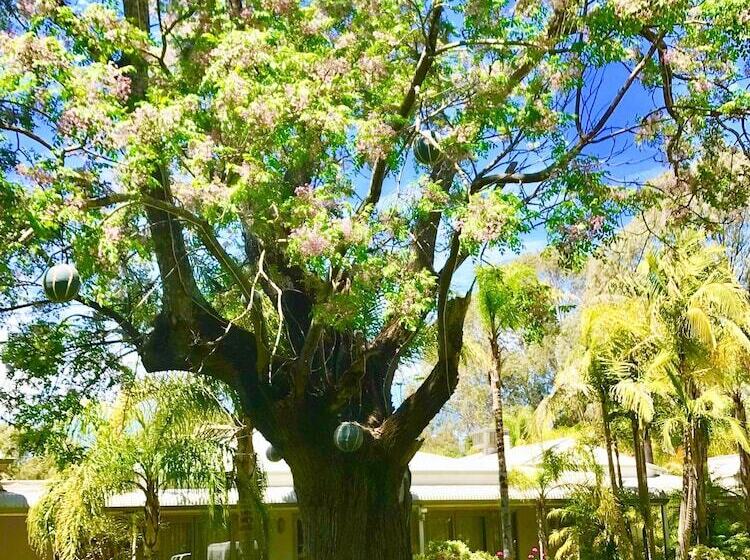 ホテル The Swan Valley