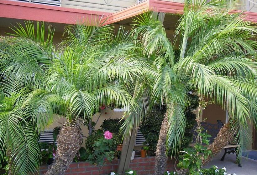 모텔 Fullerton Lodge