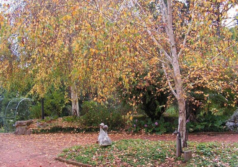 ペンション Holberry House