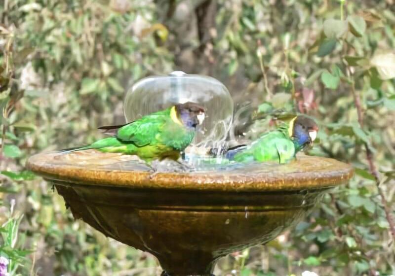 ペンション Holberry House