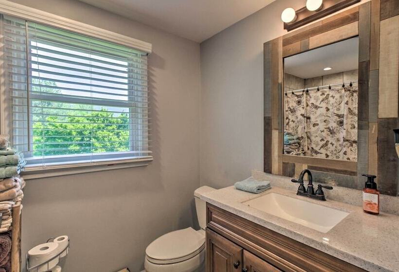 Cozy Cabin W/ Patio On Craig Creek: Pets Ok!