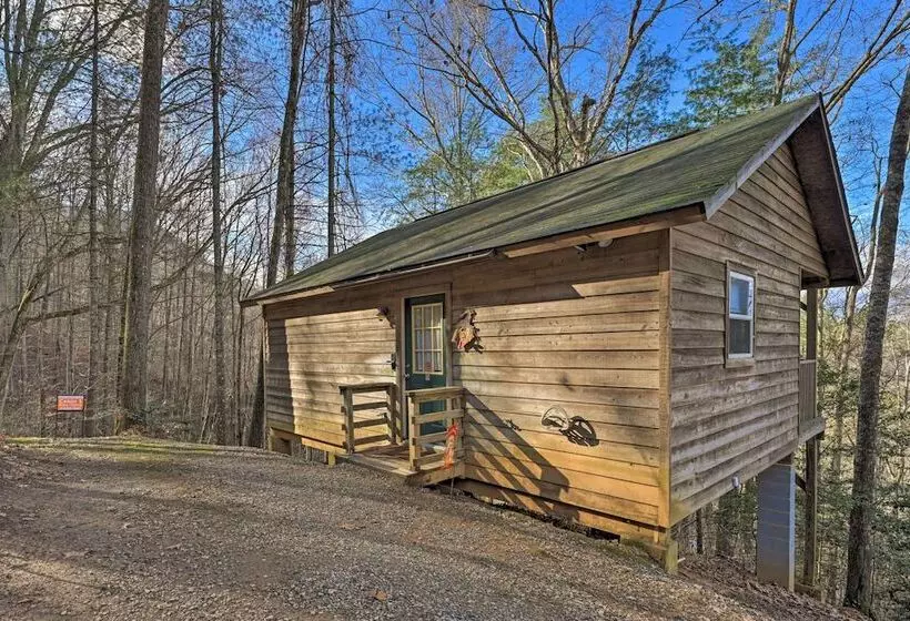 Pet Friendly Smoky Mountain Cabin: Hunt & Fish!