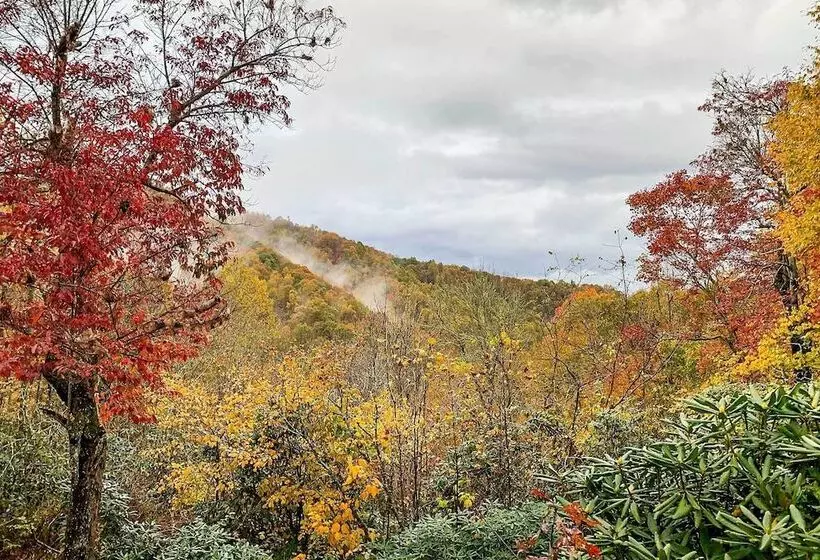 2 Decks + Views: Spruce Pine Cabin On 8 Acres
