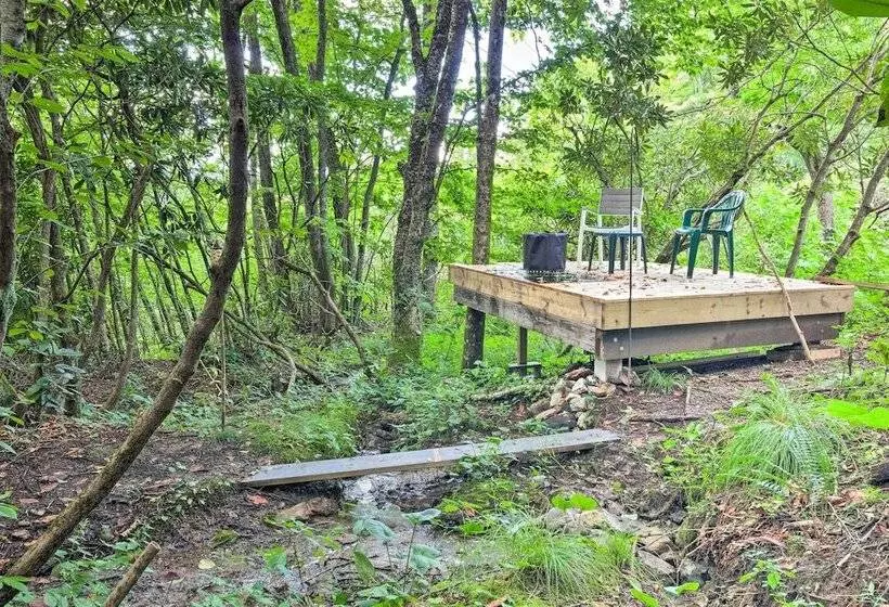 2 Decks + Views: Spruce Pine Cabin On 8 Acres