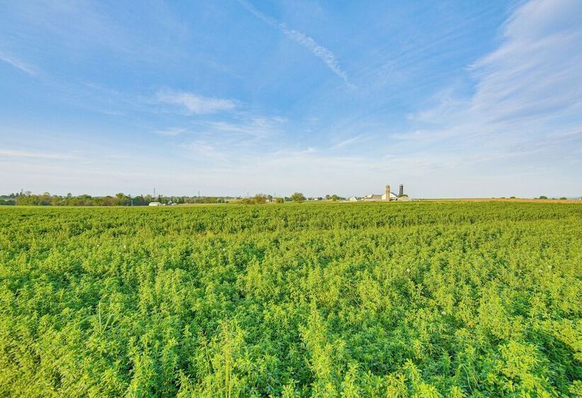 Sunny Lancaster Gem, 4 Mi To Dutch Wonderland