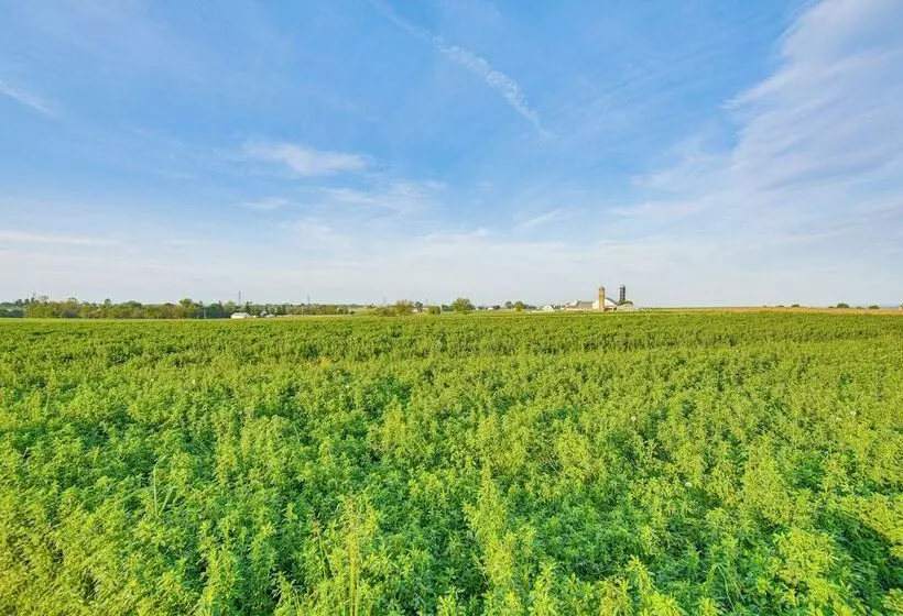 Sunny Lancaster Gem, 4 Mi To Dutch Wonderland