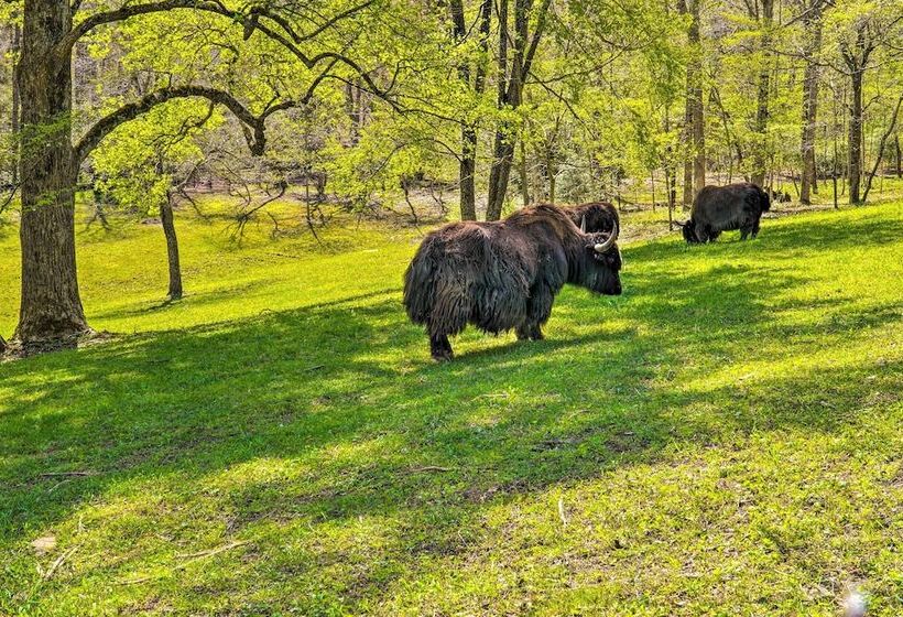 Dreamy Homestead Escape: Patio, Ranch On Site