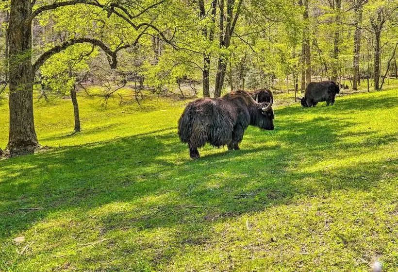 Dreamy Homestead Escape: Patio, Ranch On Site