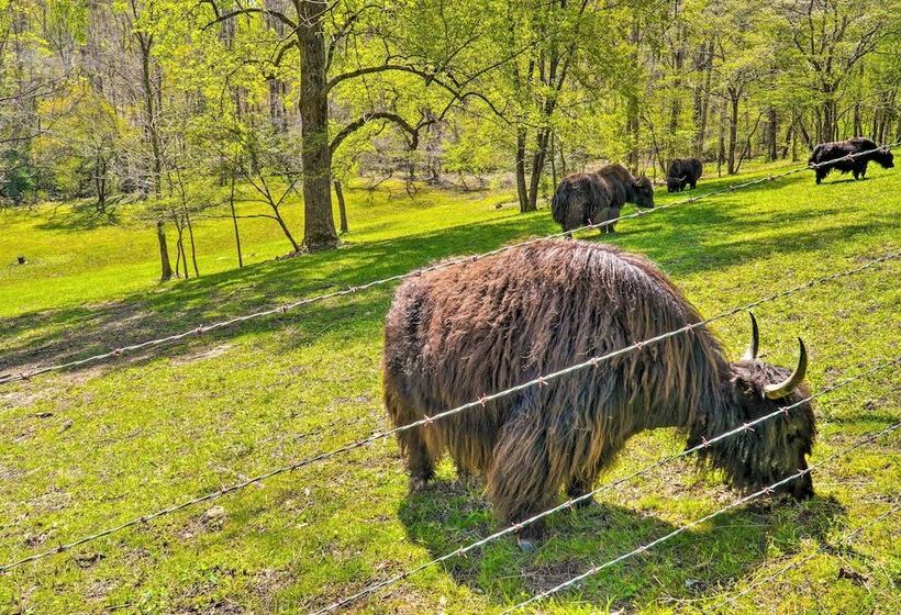 Dreamy Homestead Escape: Patio, Ranch On Site