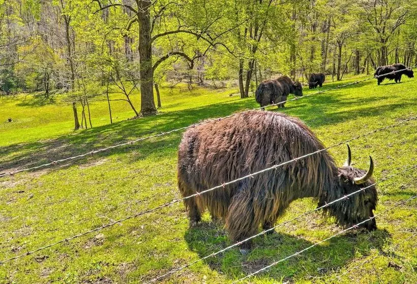 Dreamy Homestead Escape: Patio, Ranch On Site