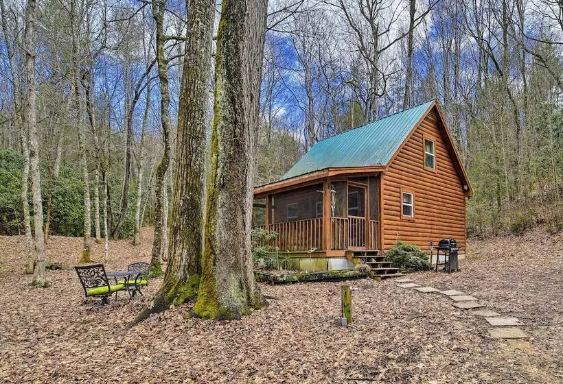 Peaceful Mountain City Cabin W/ Porch & Fire Pit