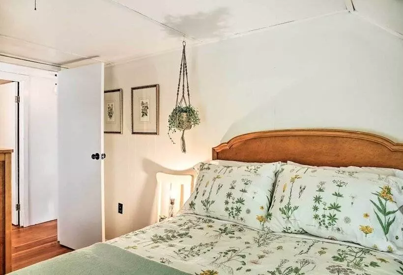 Authentic 1912 Adirondack Lake Camp W/ Fire Pit