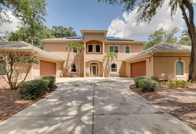 Contemporary Brandon Home W/ Pool & Game Room