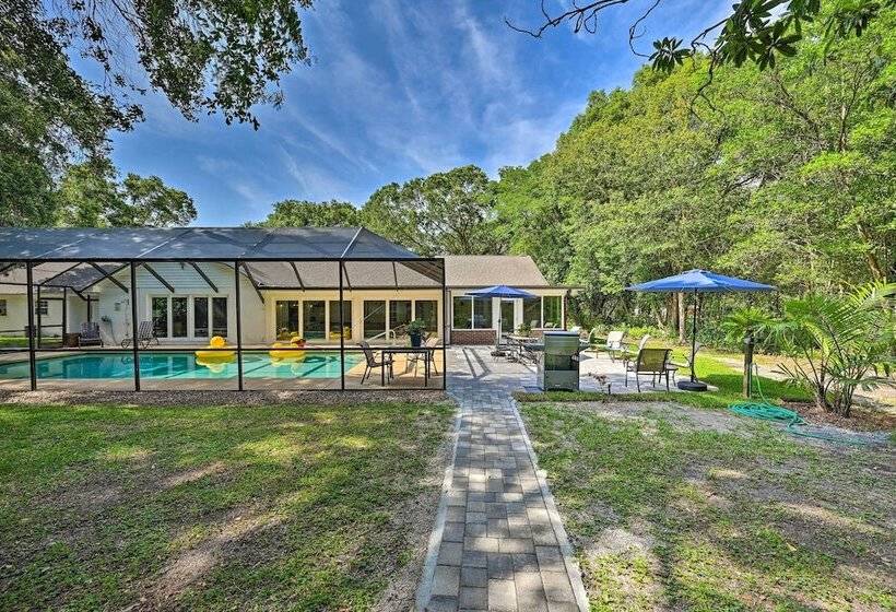 Huge Lutz Family Retreat W/ Game Room & Pool!