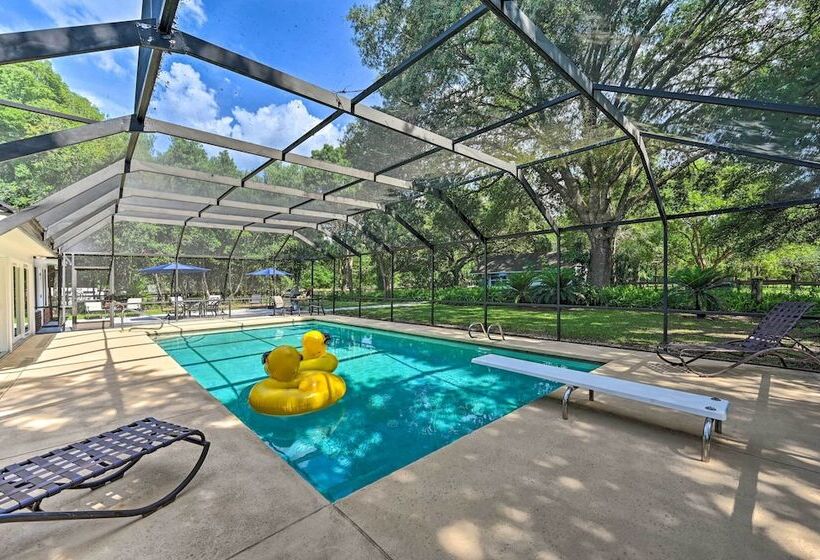Huge Lutz Family Retreat W/ Game Room & Pool!