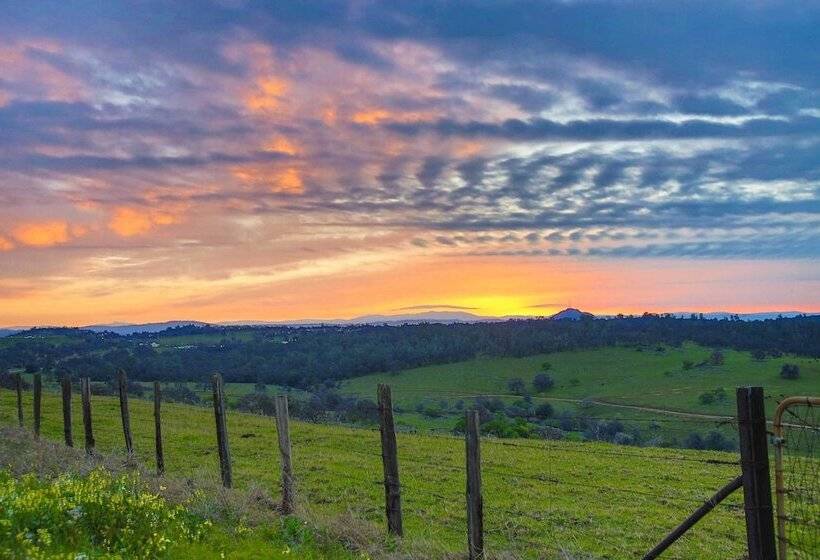 Working Vineyard & Private Pool: Villa In Plymouth