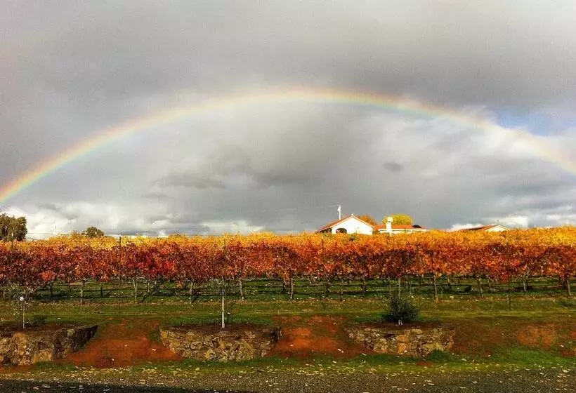 Working Vineyard & Private Pool: Villa In Plymouth