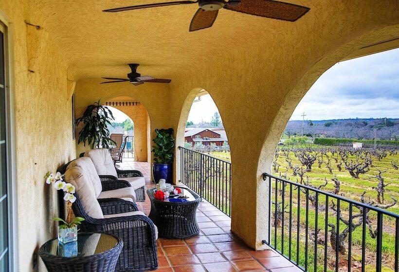 Working Vineyard & Private Pool: Villa In Plymouth