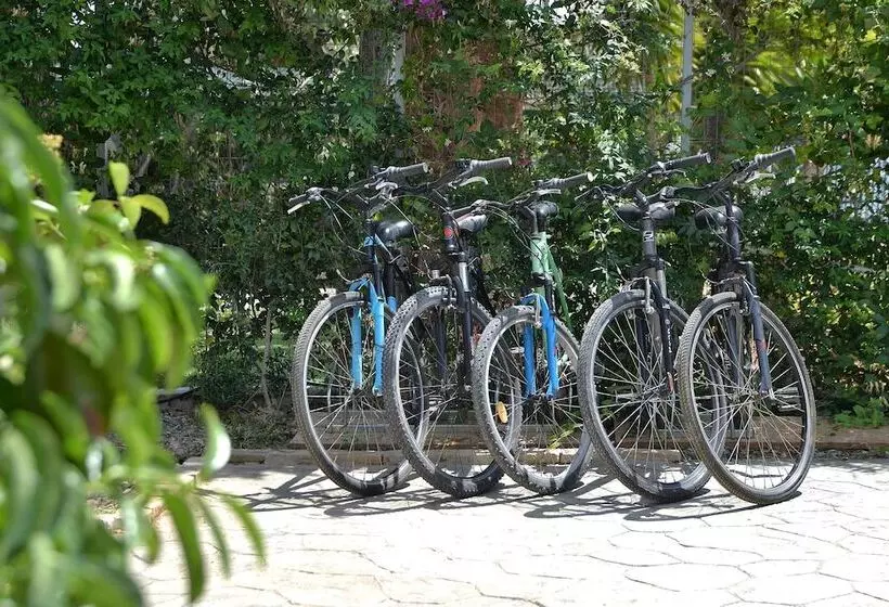 Alekos Luxury Suites Free 24h Transportation From   To Airport