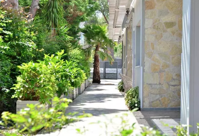 Alekos Luxury Suites Free 24h Transportation From   To Airport