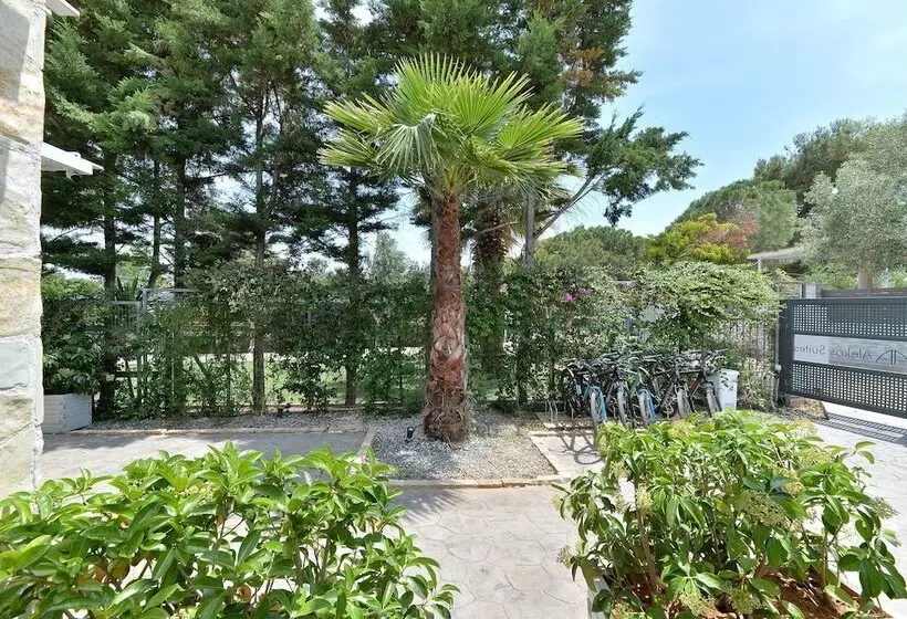 Alekos Luxury Suites Free 24h Transportation From   To Airport