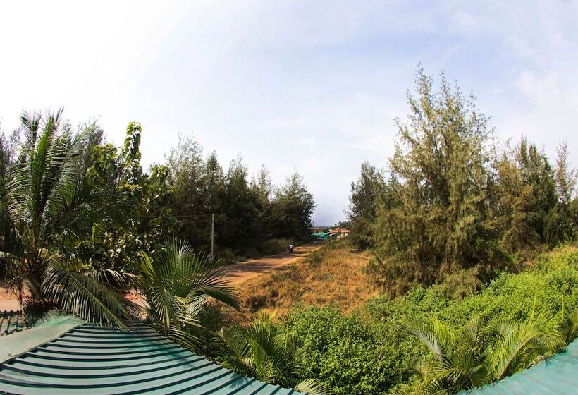 Hibis Hotels And Resorts