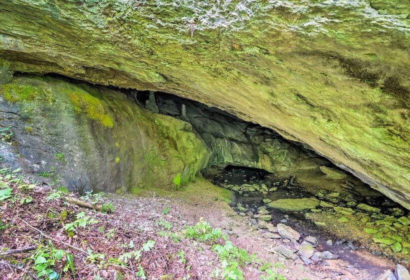 Pet Friendly Castlewood Cabin W/ Deck & Pond Views