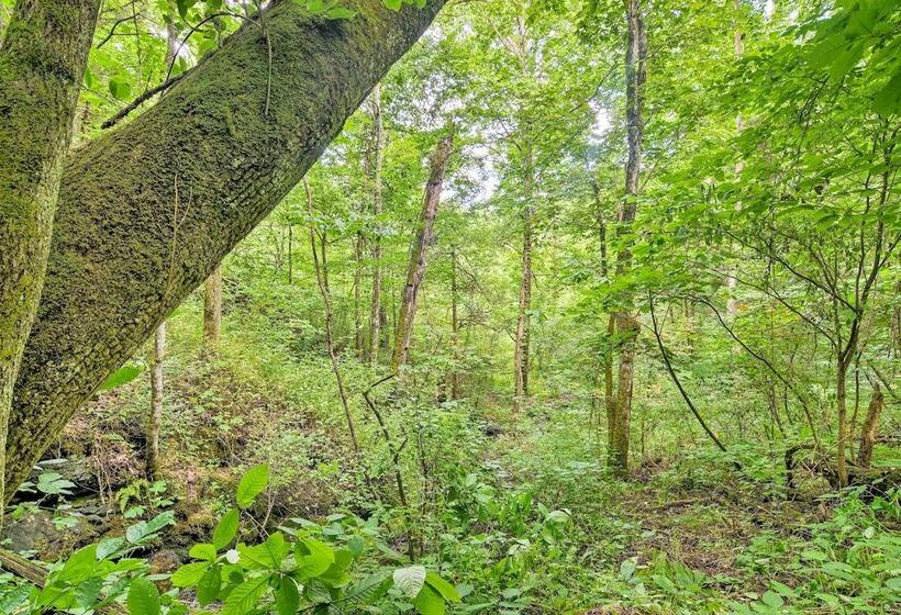 Pet Friendly Castlewood Cabin W/ Deck & Pond Views