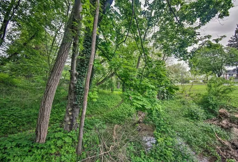 Pet Friendly Lakeview Cabin W/ Hot Tub!