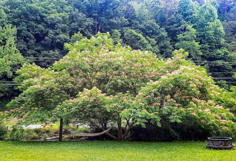 Bring A Pet: Smoky Mtn Vacation Rental W/ Yard!