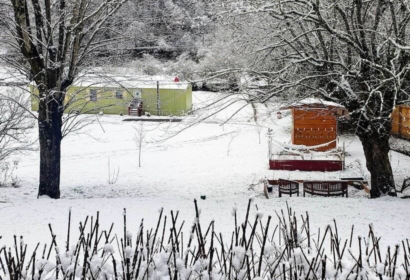 Bring A Pet: Smoky Mtn Vacation Rental W/ Yard!