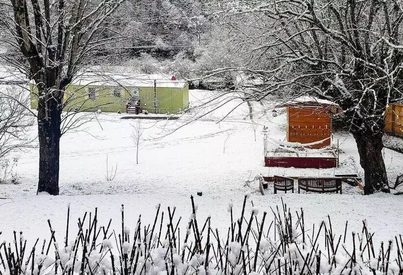 Bring A Pet: Smoky Mtn Vacation Rental W/ Yard!