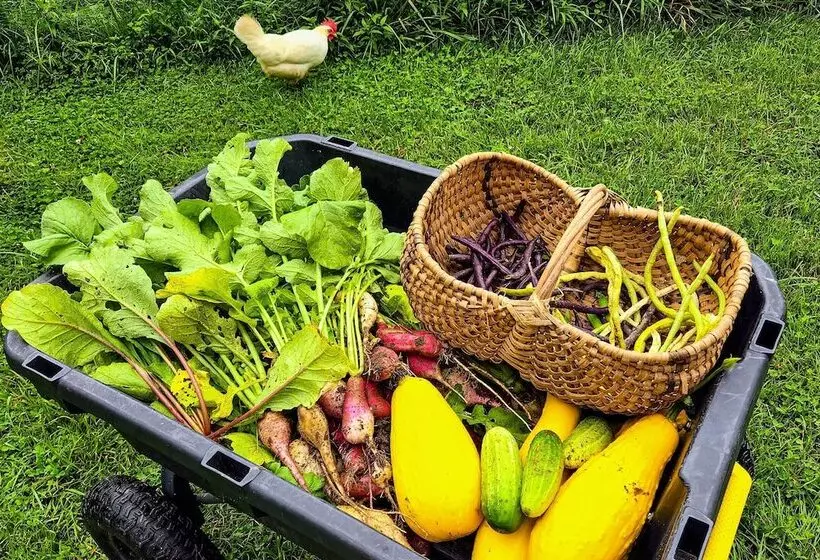 Bring A Pet: Smoky Mtn Vacation Rental W/ Yard!