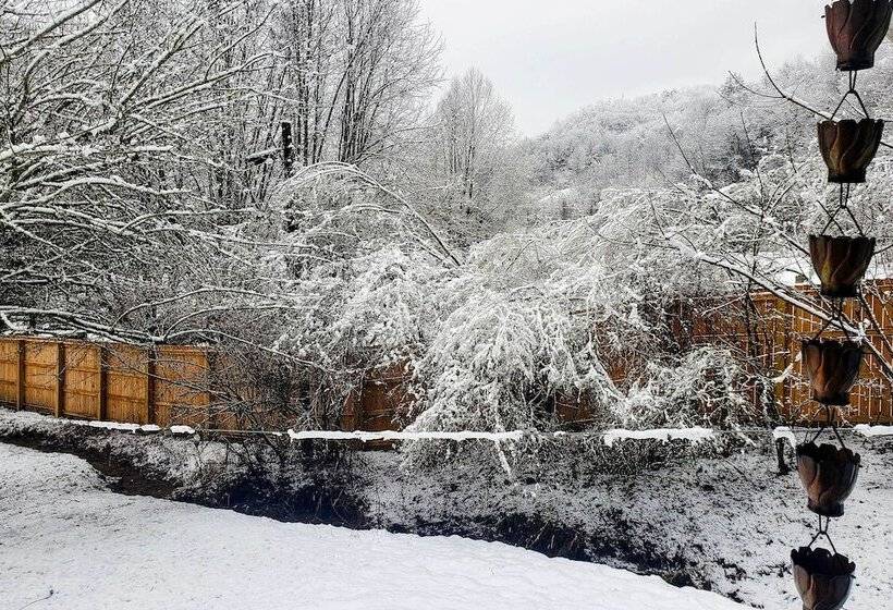 Bring A Pet: Smoky Mtn Vacation Rental W/ Yard!