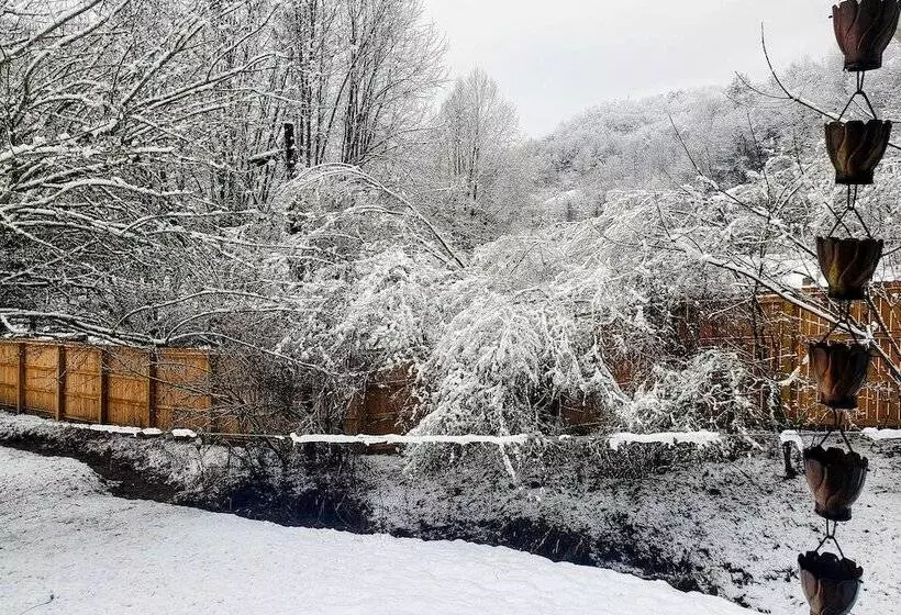 Bring A Pet: Smoky Mtn Vacation Rental W/ Yard!