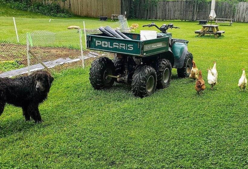 Bring A Pet: Smoky Mtn Vacation Rental W/ Yard!