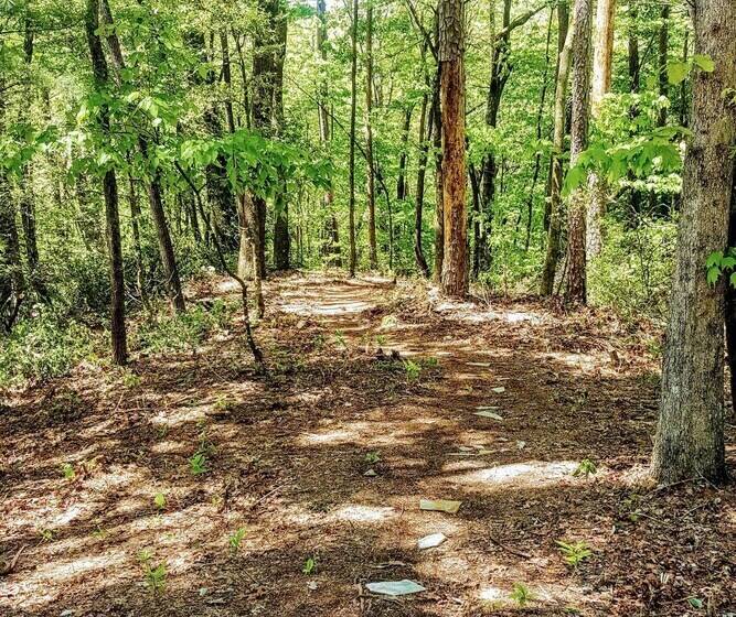 Pet Friendly Marble Cabin W/ Deck, Grill, Fire Pit