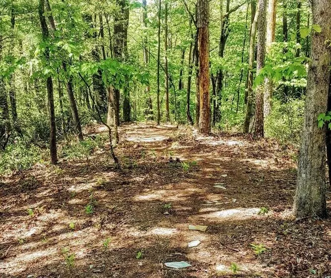Pet Friendly Marble Cabin W/ Deck, Grill, Fire Pit