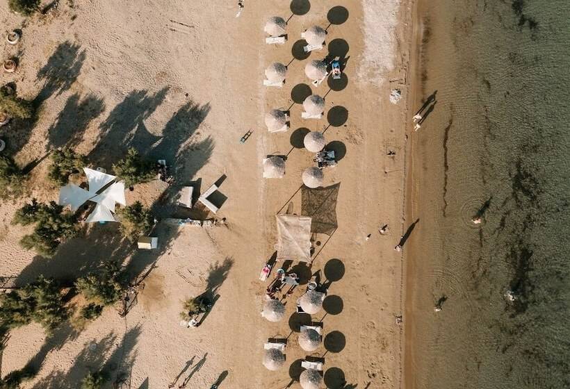 פנסיון Filanthi The Project