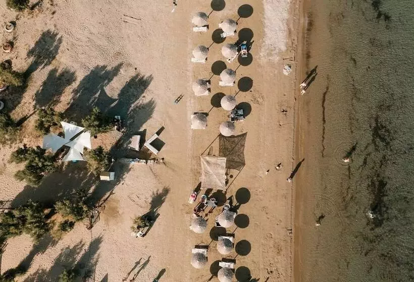 ペンション Filanthi The Project