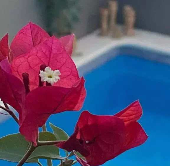 ベッドアンドブレックファースト Casa Palacio Ánima