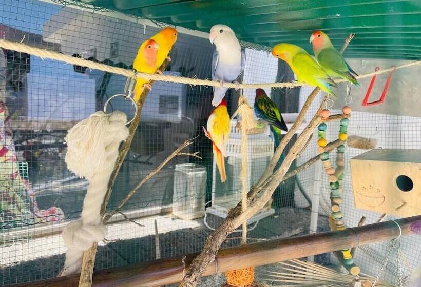 住宿加早餐  Ga7colores