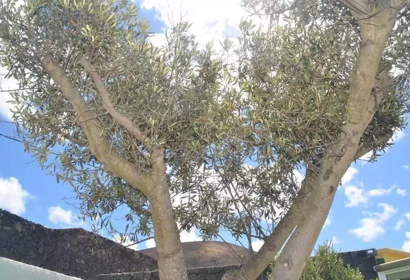 Aamiaismajoitus (B&B) Ga7colores