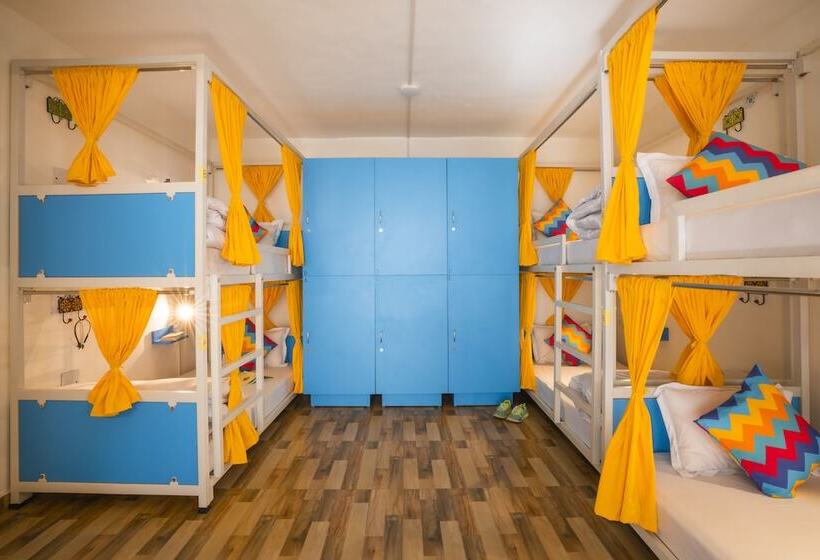 Gostops Nainital   Hostel