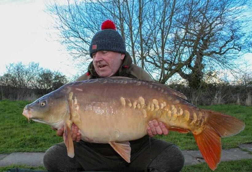 Hotel 1 Bed Pod Cabin In Beautiful Surroundings Wrexham