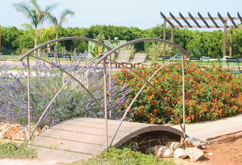 فندق Restaurante Font Salada