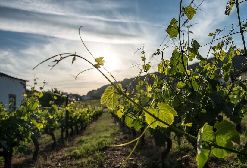 فندق Morgadio Da Calcada Douro Wine&tourism