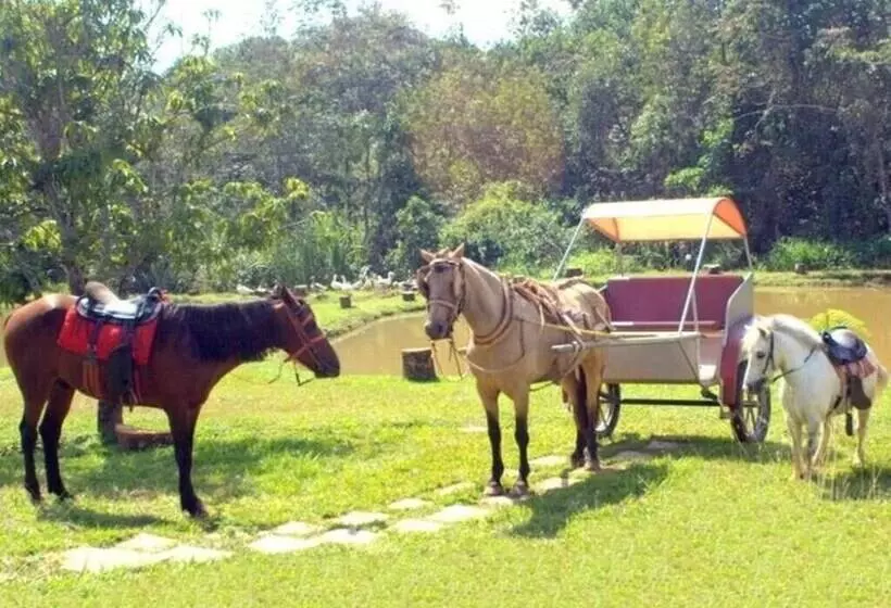 Maaseutuhotelli Fazenda Vale Amanhecer