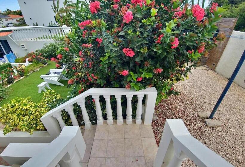 Adonai Hotel Boutique